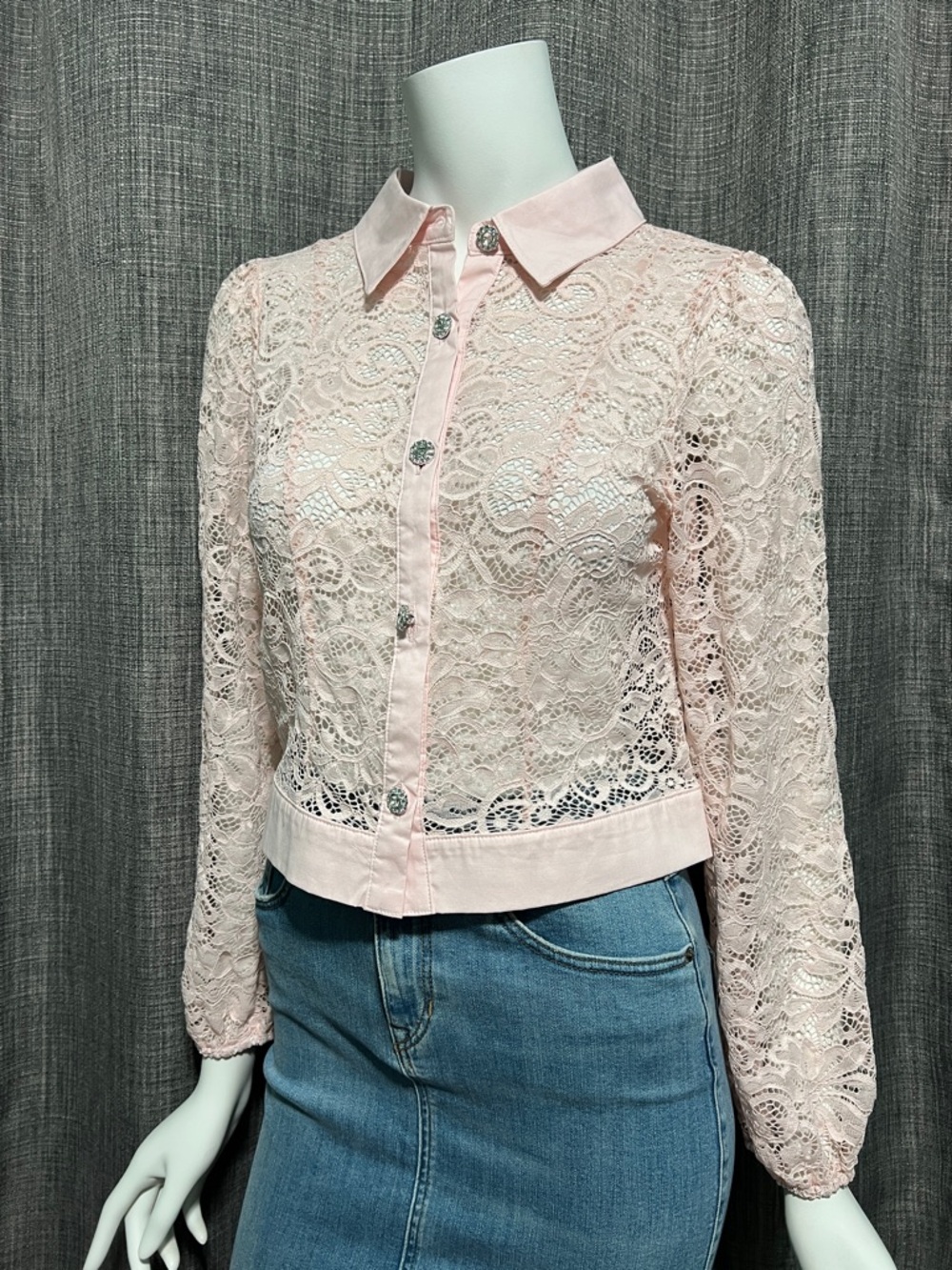 Moa Moa Pink Long Sleeve Lace Blouse Small NWT